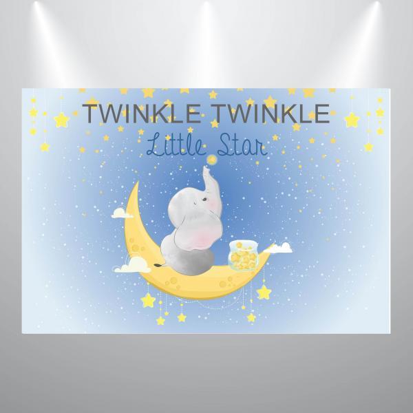 Twinkle Little Star Baby Shower Backdrop- Boy or Girl