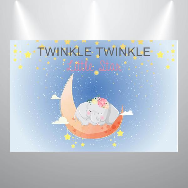 Twinkle Little Star Baby Shower Backdrop- Girl